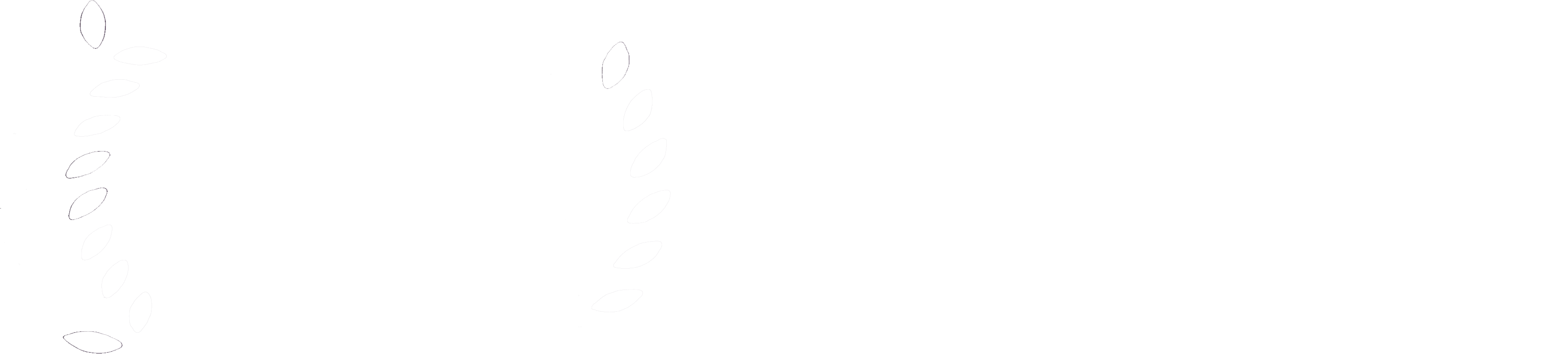 logo-img